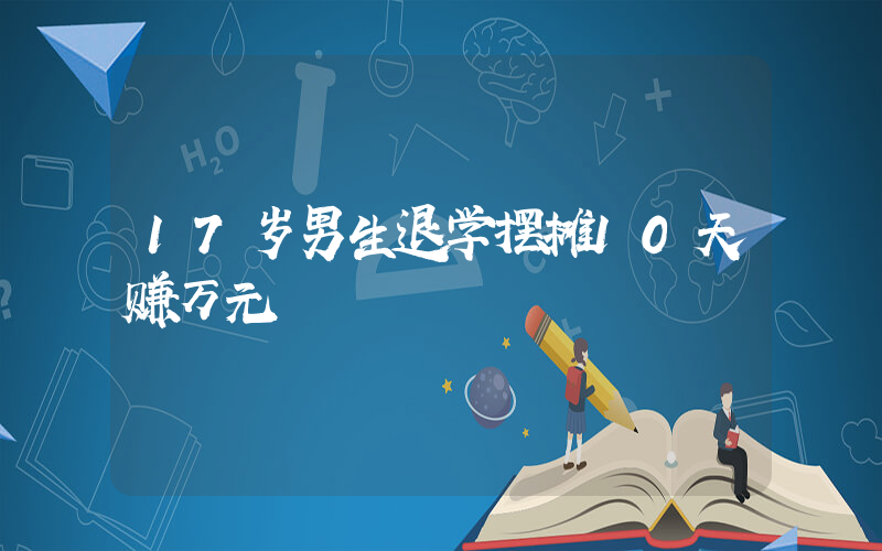 17岁男生退学摆摊10天赚万元插图