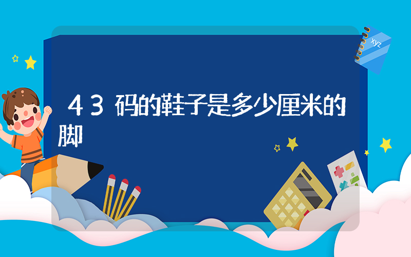 43码的鞋子是多少厘米的脚插图