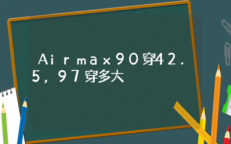 Airmax90穿42.5,97穿多大插图