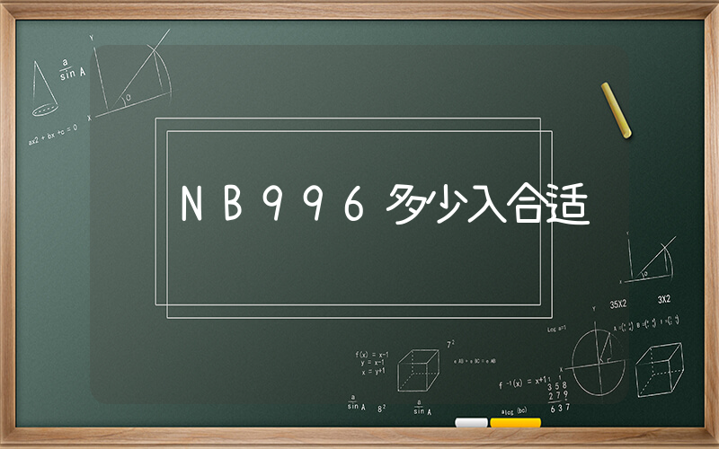 NB996多少入合适插图