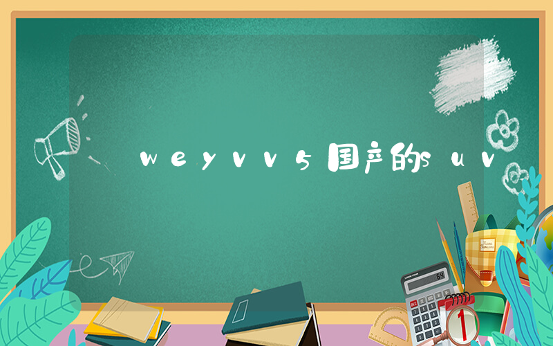 weyvv5国产的suv插图