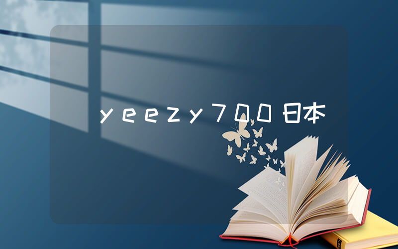 yeezy700日本插图