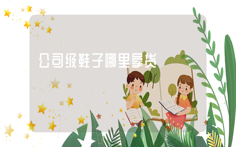 公司级鞋子哪里拿货插图