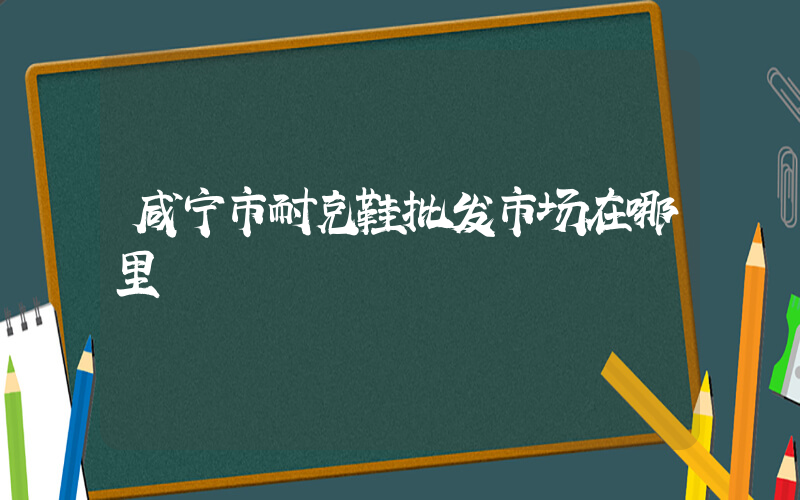 咸宁市耐克鞋批发市场在哪里插图