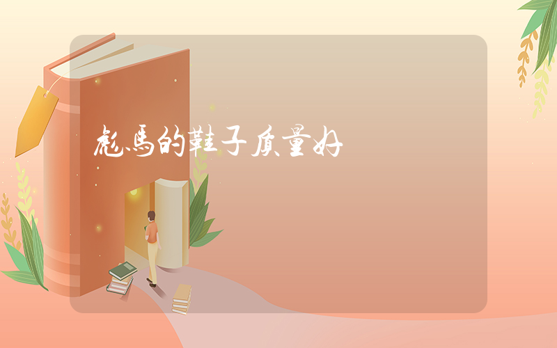 彪马的鞋子质量好插图