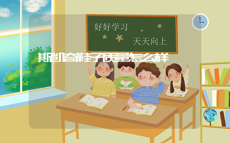 斯凯奇鞋子质量怎么样插图