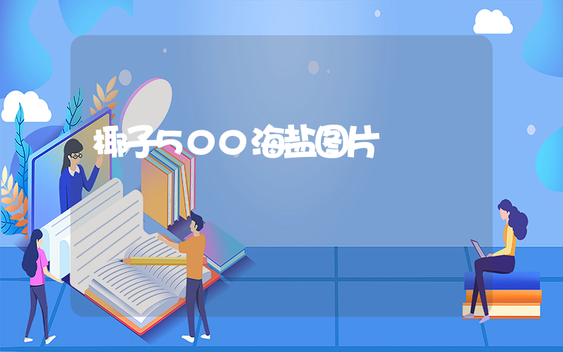 椰子500海盐图片插图