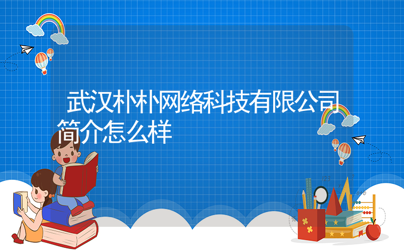 武汉朴朴网络科技有限公司简介怎么样插图