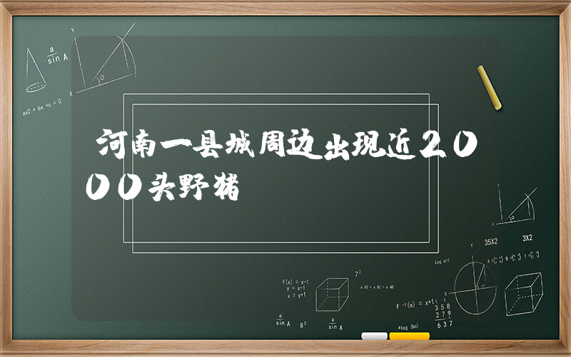 河南一县城周边出现近2000头野猪插图