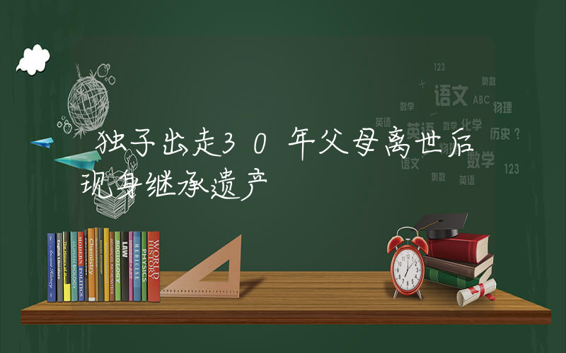 独子出走30年父母离世后现身继承遗产插图