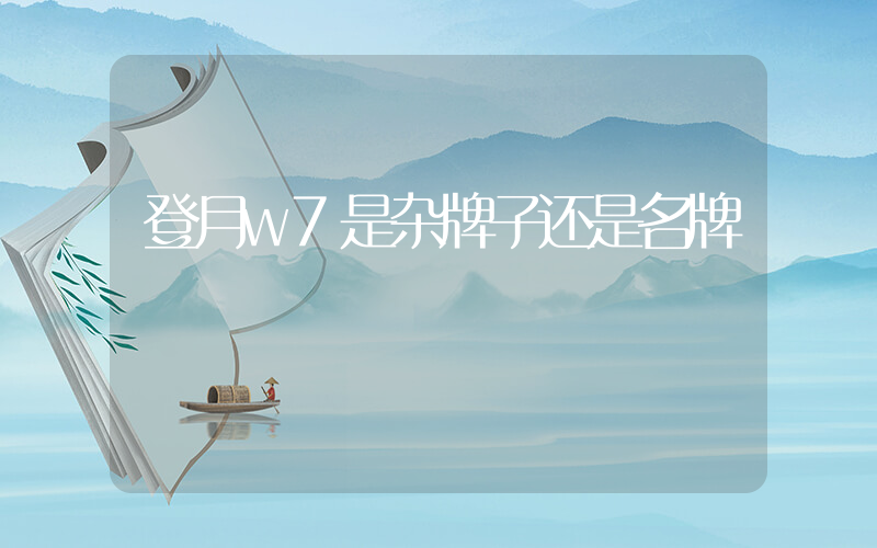 登月w7是杂牌子还是名牌插图