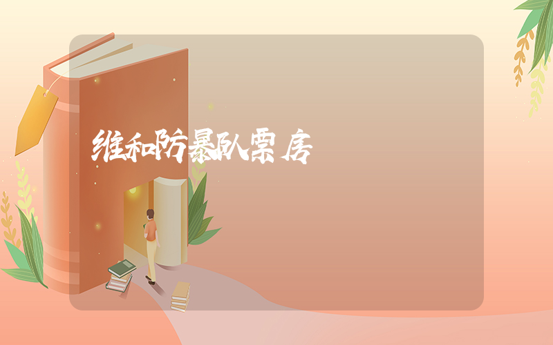 维和防暴队票房插图