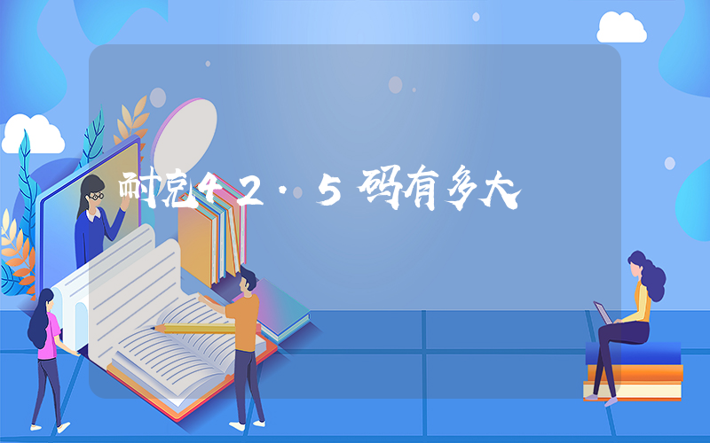 耐克42.5码有多大插图