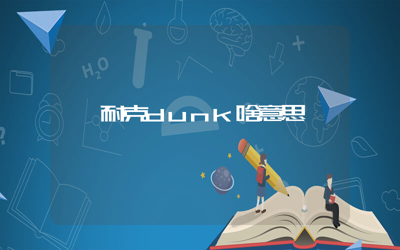 耐克dunk啥意思插图