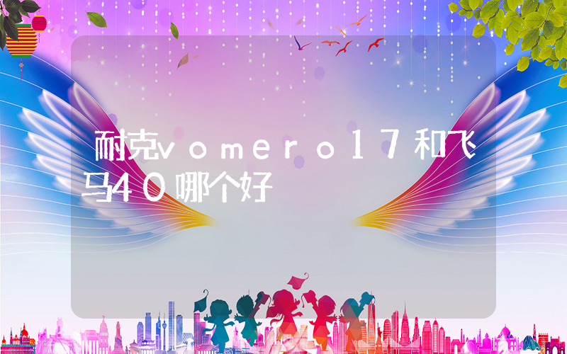 耐克vomero17和飞马40哪个好插图