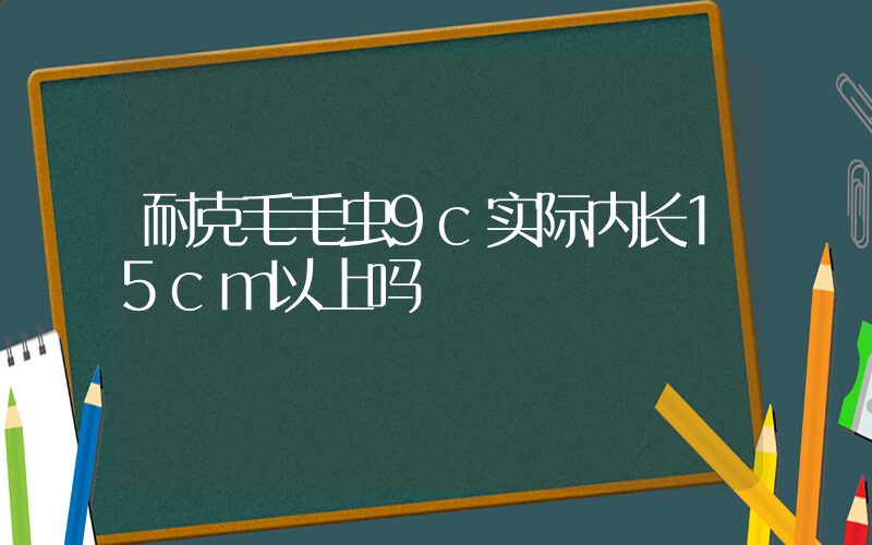 耐克毛毛虫9c实际内长15cm以上吗插图