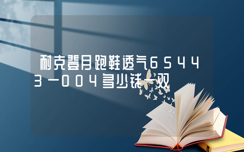 耐克登月跑鞋透气65443一004多少钱一双插图