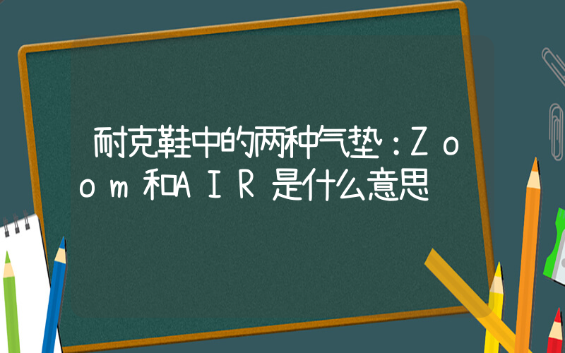 耐克鞋中的两种气垫：Zoom和AIR是什么意思插图