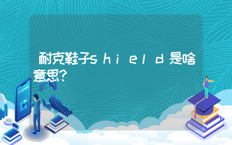 耐克鞋子shield是啥意思？插图