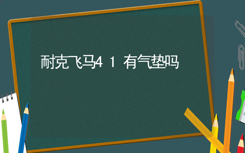 耐克飞马41有气垫吗插图