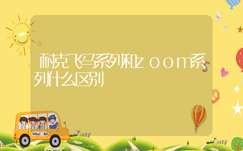 耐克飞马系列和zoom系列什么区别插图