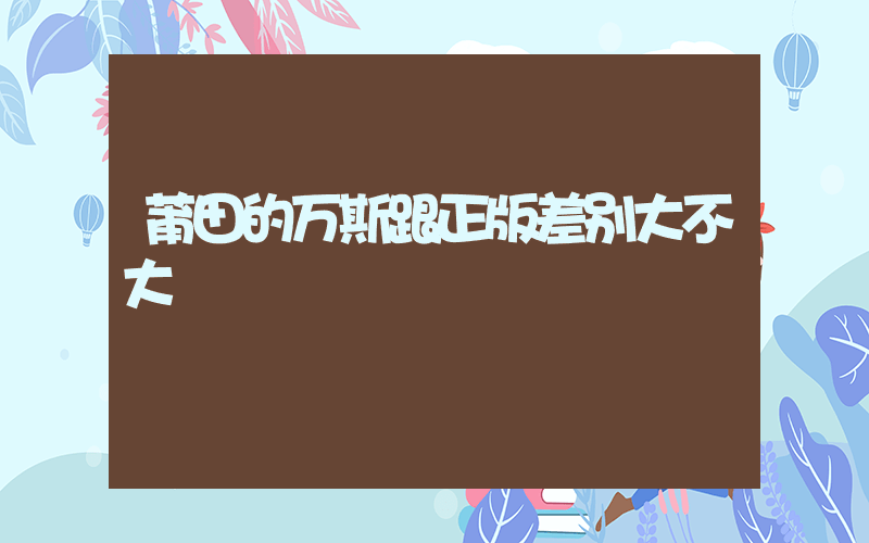 莆田的万斯跟正版差别大不大插图