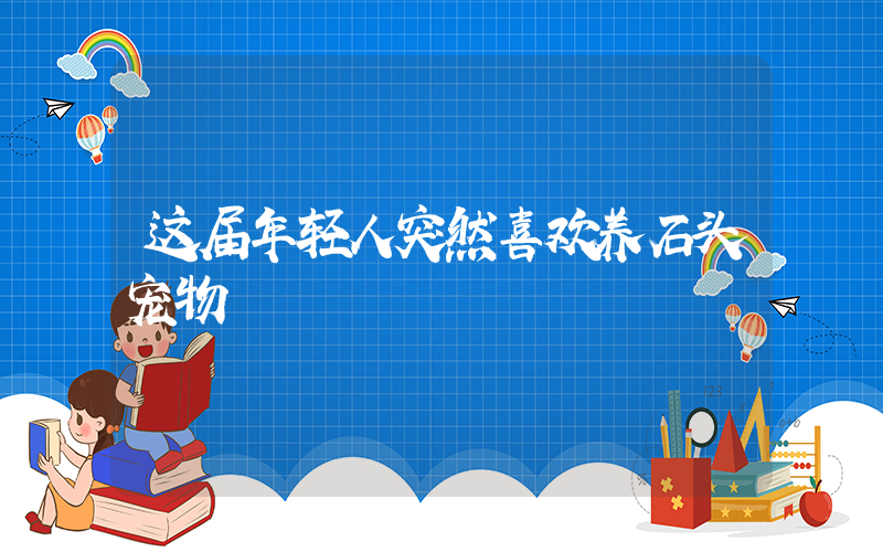 这届年轻人突然喜欢养石头宠物插图