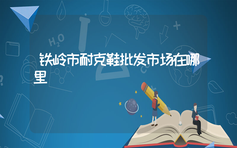 铁岭市耐克鞋批发市场在哪里插图