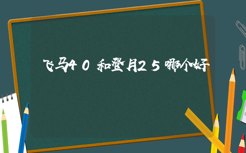 飞马40和登月25哪个好插图