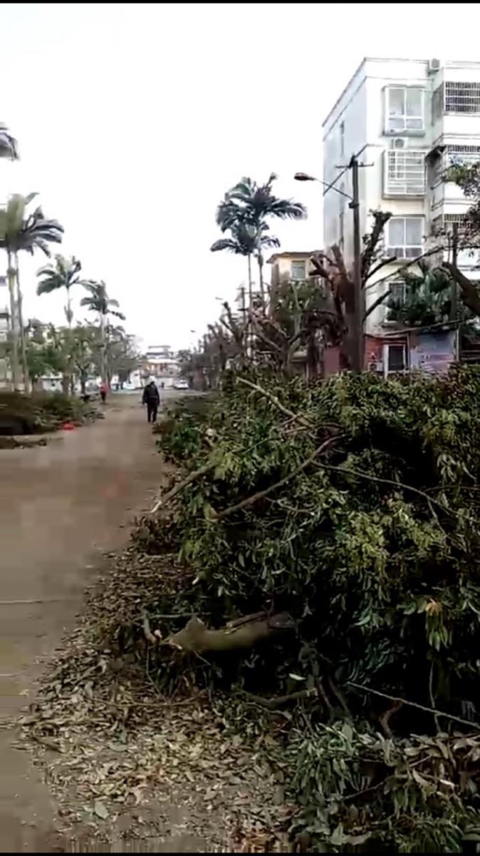 北海银海区多人遭雷击