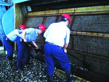 大量海蜇入侵浙江一电厂