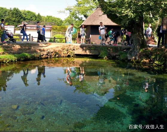 富士山下泉水池中硬币达1米厚