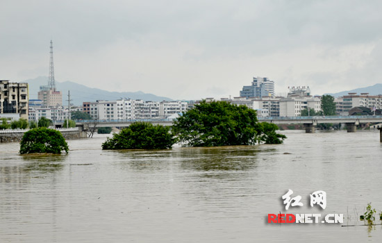 平江暴雨为何洪水排不出去