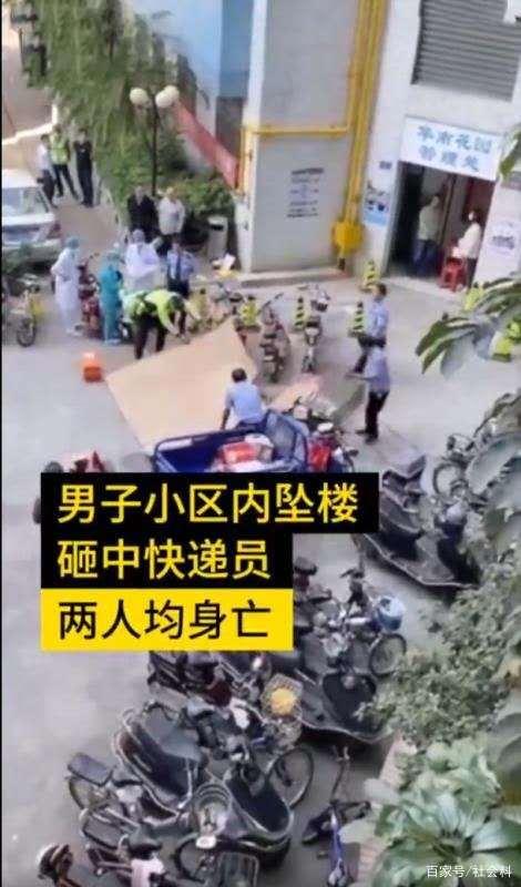 广东一男子疑被倒伏树砸中身亡