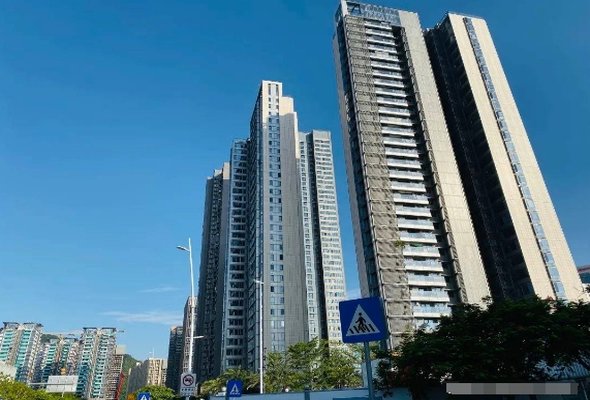 深圳热盘3天卖完一栋楼