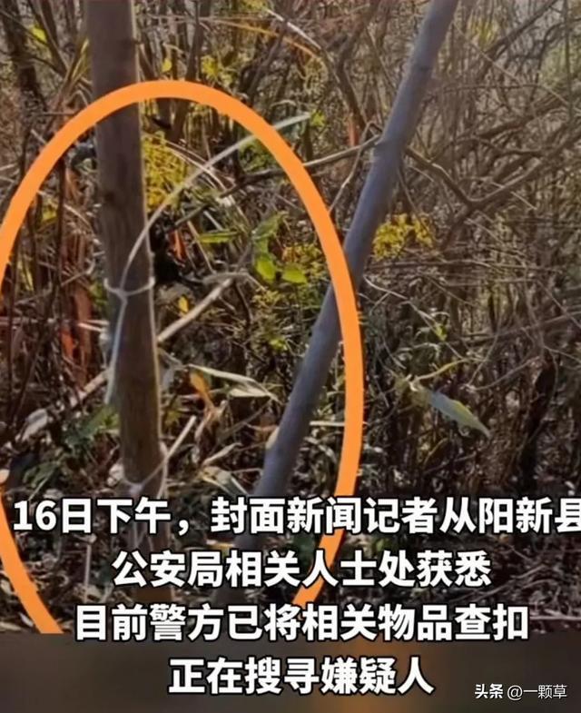 湖北教师遭电网电击身亡家属发声