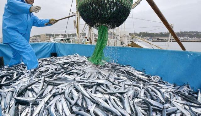 立即全面恢复日本水产进口？中方回应