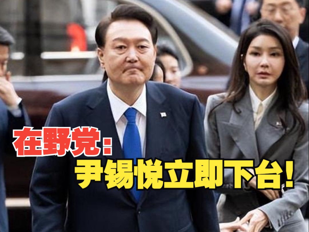 韩国最大在野党以内乱罪告发尹锡悦