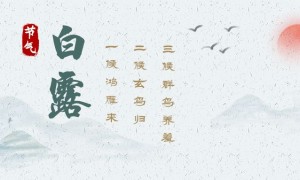 今天是白露节气