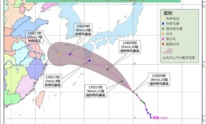 今年第11号台风摩羯生成