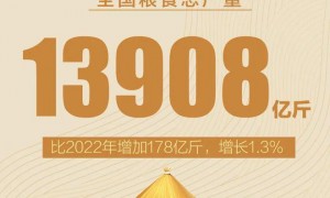 从2264亿斤到13908亿斤