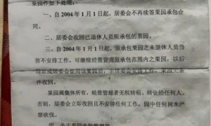 县政府领导强拆果园？官方通报