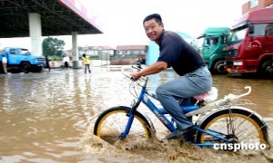 台风“格美”将给辽宁带来强降雨