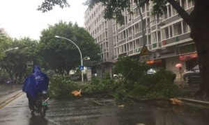 台风深入内陆 多地有大暴雨