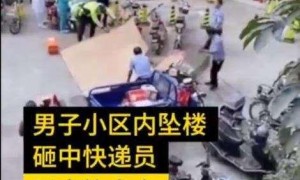 广东一男子疑被倒伏树砸中身亡