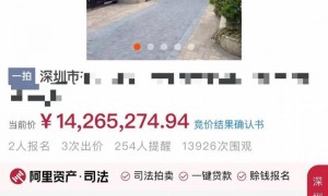 深圳一法拍房2.32亿元成交