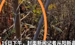 湖北教师遭电网电击身亡家属发声