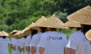 灵隐寺推丛林生活体验：限23-30岁