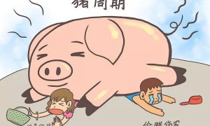 猪肉涨价 预计持续到年底