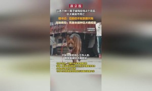 男子被狗咬伤4个月后狂犬病发作死亡